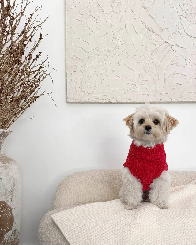 Red Fuzzy Pet Sweater Polyester pajama sets